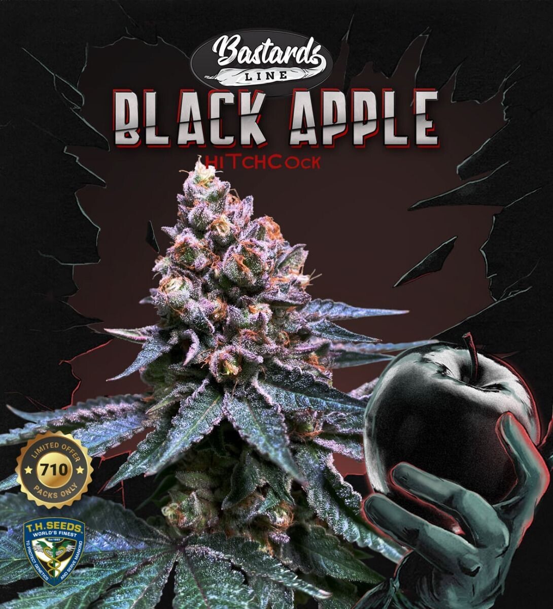 Купить семена каннабиса Black Apple Hitchcock