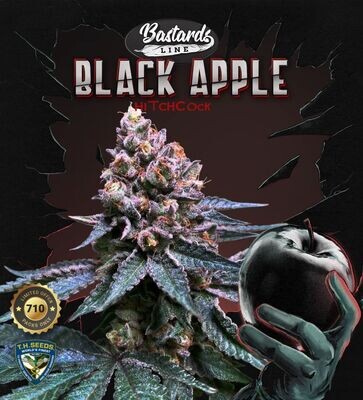 T.H. Seeds - Black Apple Hitchcock (fem.) 08366