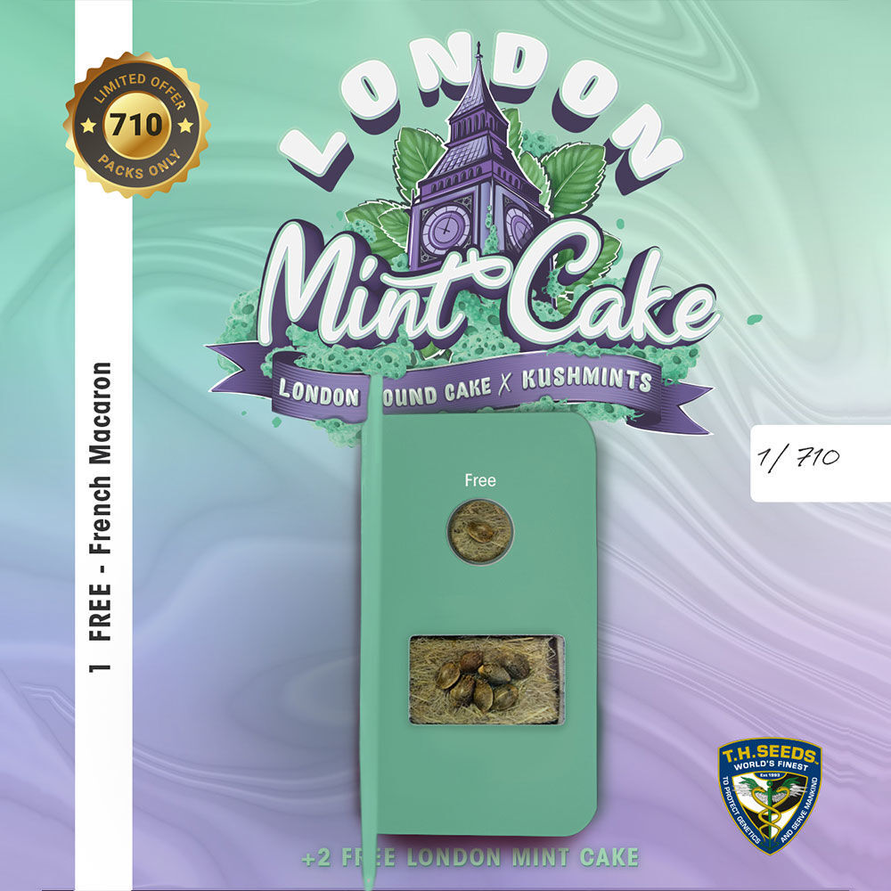 T.H. Seeds - London Mint Cake (fem.)