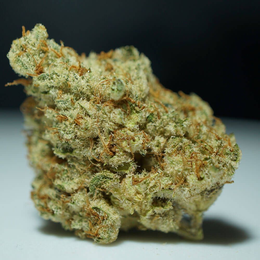 T.H. Seeds - Stracciatella (fem.)