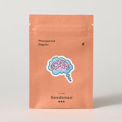 Seedsman - Amnesia (reg.) 04794