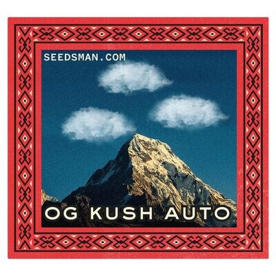 Seedsman - OG Kush Auto (auto/fem.) 00119