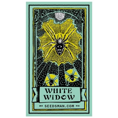 Seedsman - White Widow (reg.) 00132