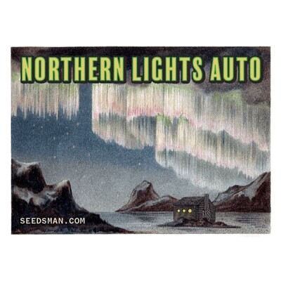 Seedsman - Northern Lights Auto (auto/fem.) 07711