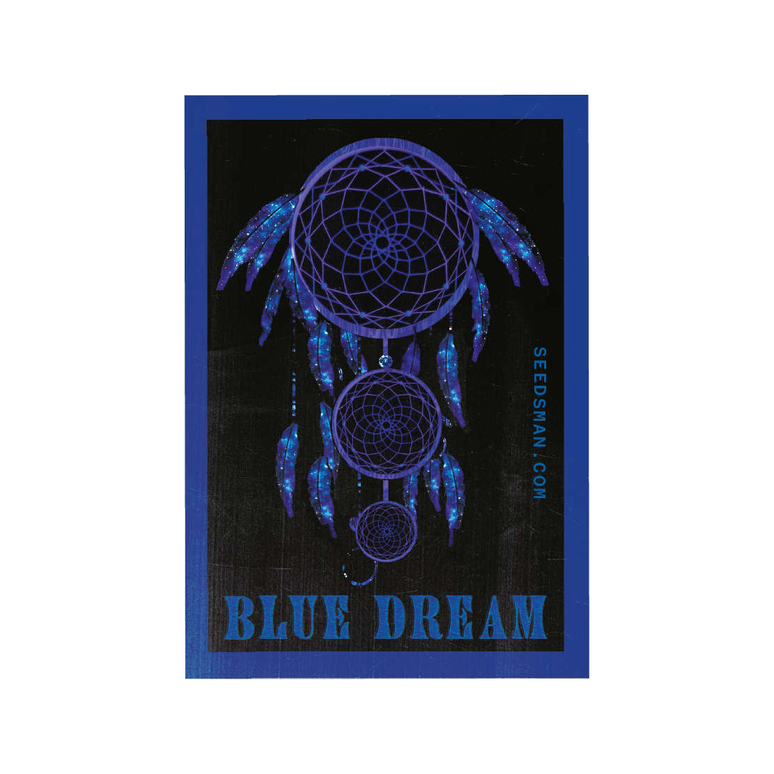 Seedsman - Blue Dream (fem.)