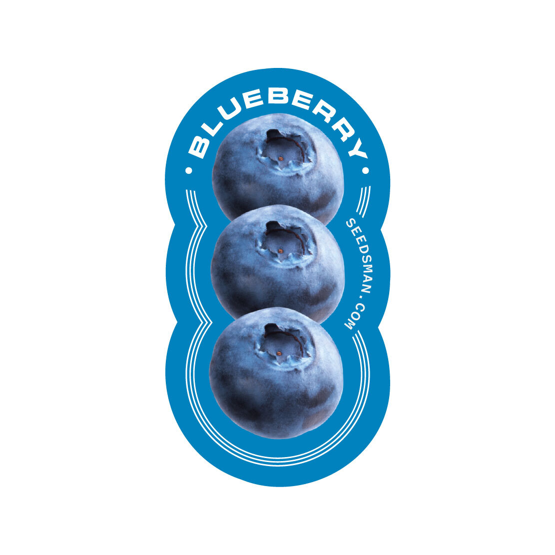 Seedsman - Blueberry (fem.)