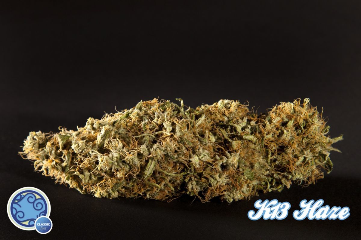 Philosopher Seeds - Easy Haze aka K13-Haze (fem.)