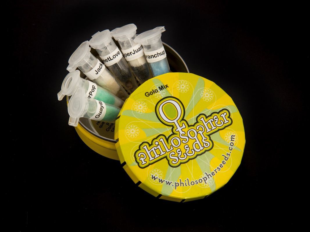 Philosopher Seeds - Golo Mix (fem.)
