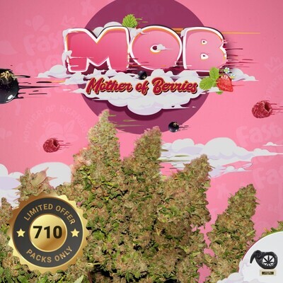 T.H. Seeds - M.O.B. 710 Special Pack (fem.) 08413