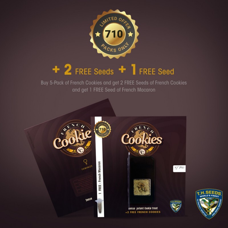 T.H. Seeds - French Cookies 710 Special Pack (fem.)
