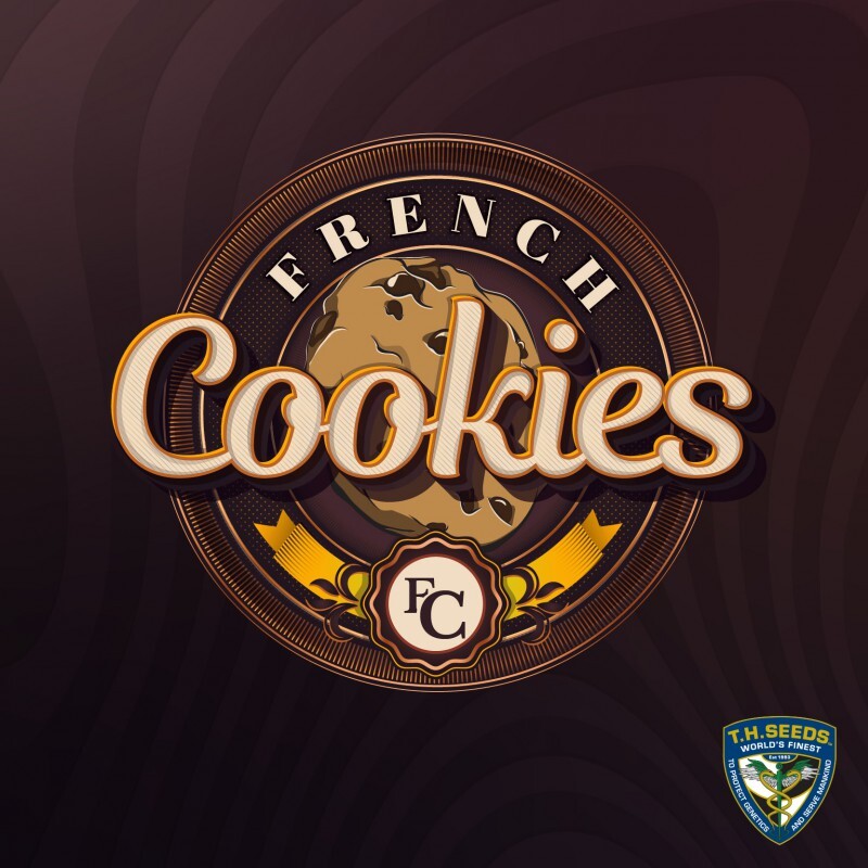 T.H. Seeds - French Cookies 710 Special Pack (fem.)