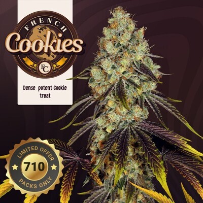T.H. Seeds - French Cookies 710 Special Pack (fem.) 08414