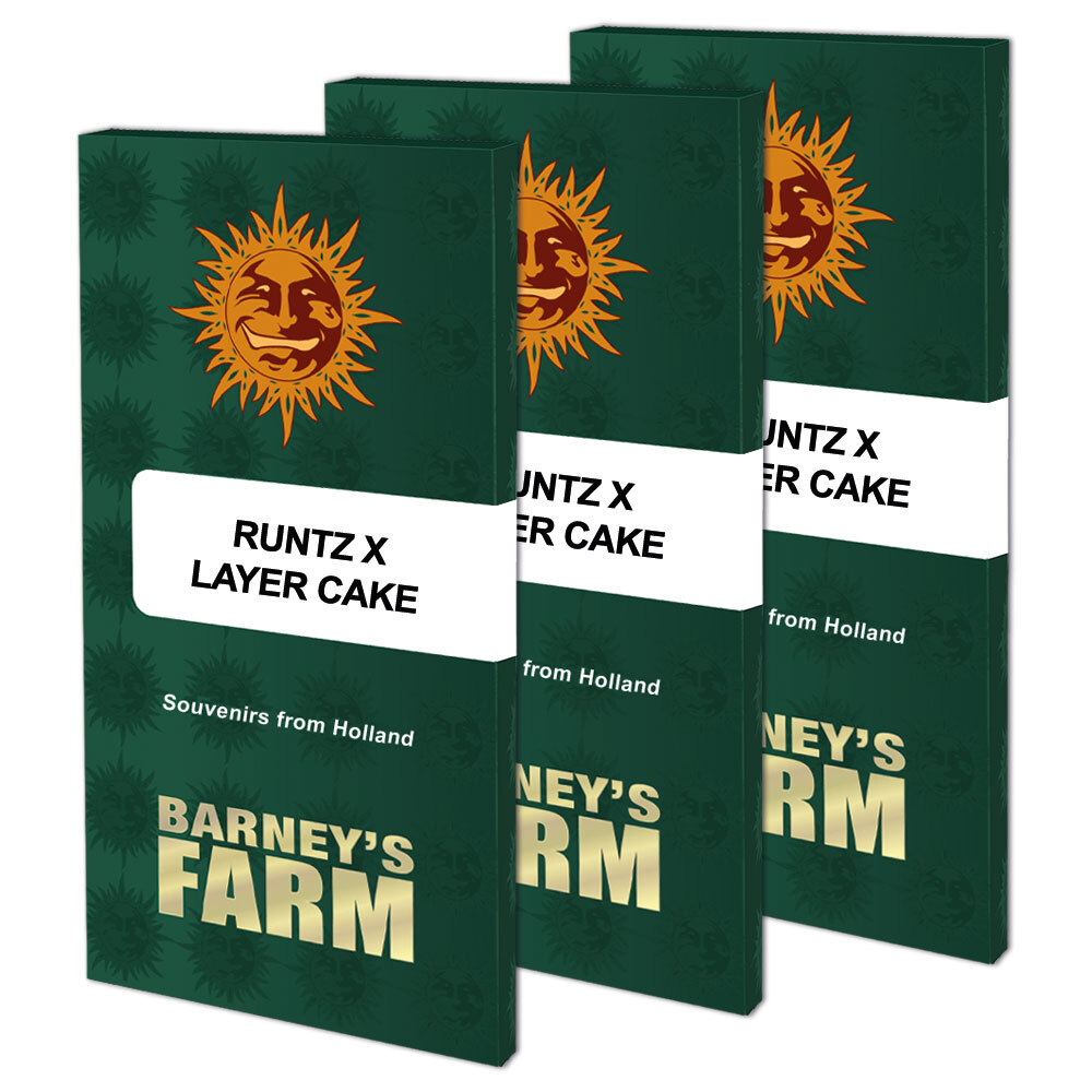 Barney's Farm - Runtz x Layer Cake (fem.)