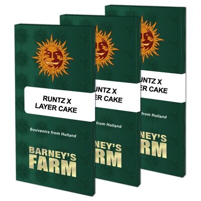 Barney's Farm - Runtz x Layer Cake (fem.) 08420