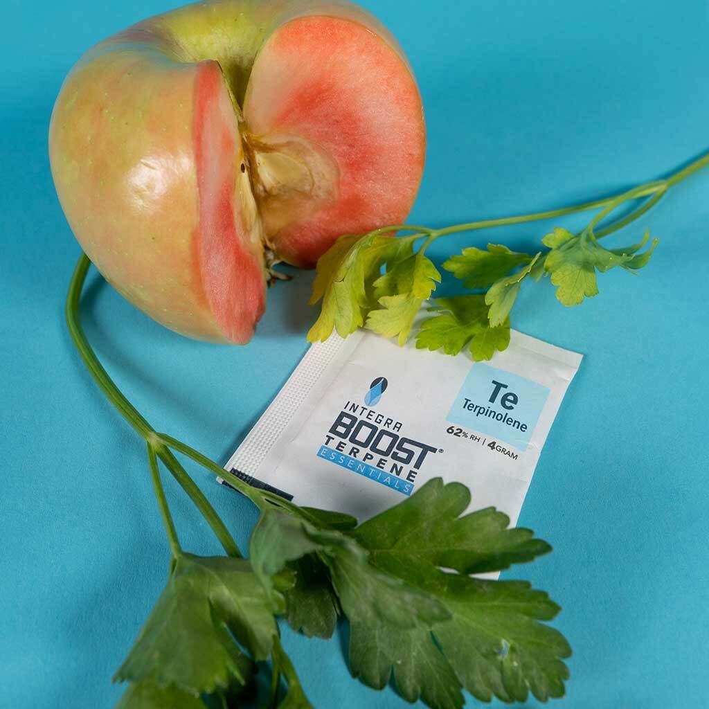 Integra Boost Terpene Essentials 62% с терпенами (задайте вкус и эффект шишкам)