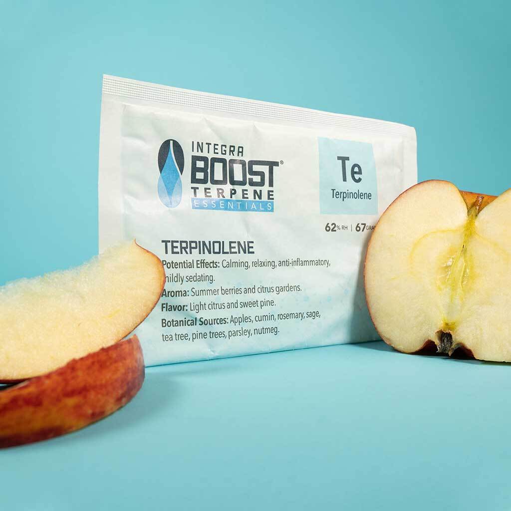 Integra Boost Terpene Essentials 62% с терпенами (задайте вкус и эффект шишкам)