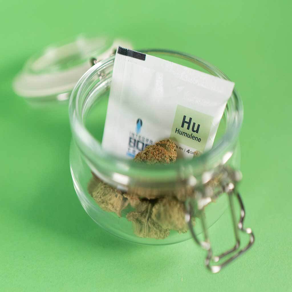 Integra Boost Terpene Essentials 62% с терпенами (задайте вкус и эффект шишкам)
