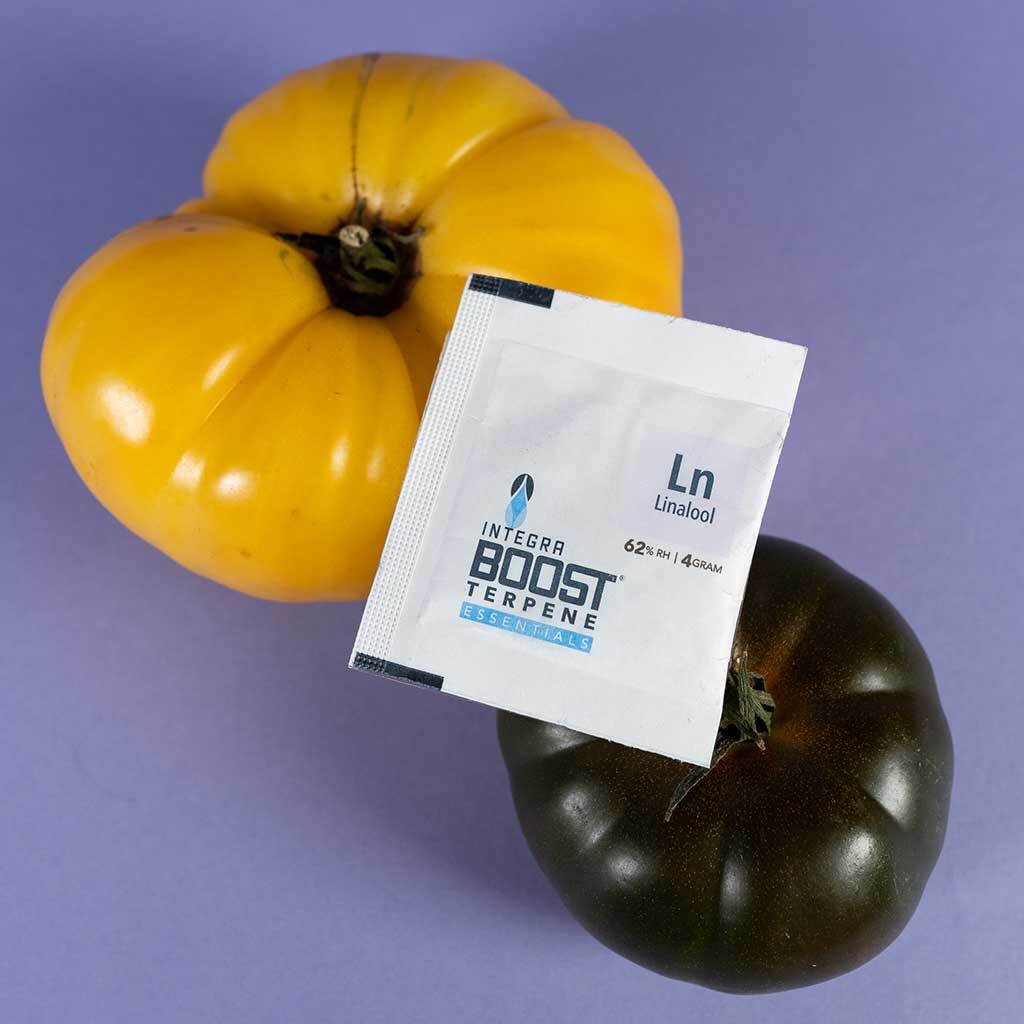 Integra Boost Terpene Essentials 62% с терпенами (задайте вкус и эффект шишкам)