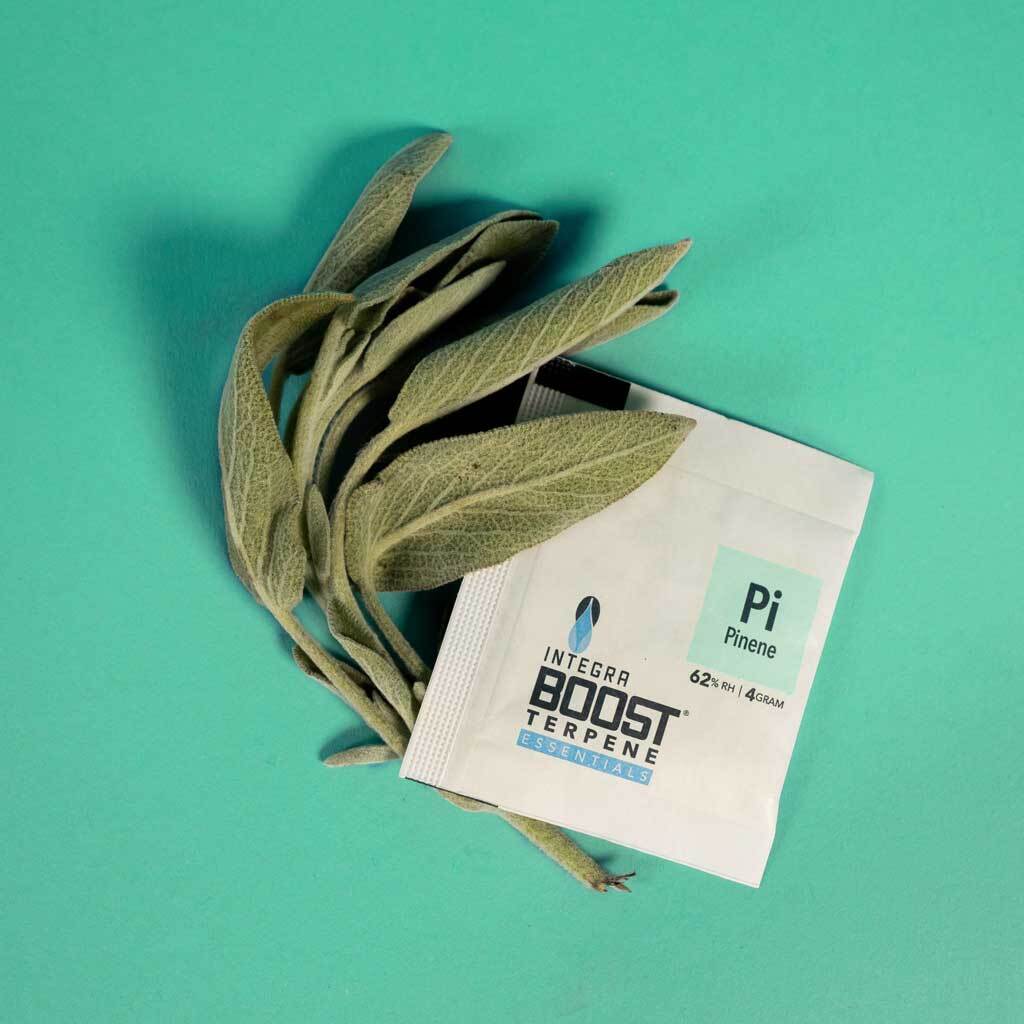 Integra Boost Terpene Essentials 62% с терпенами (задайте вкус и эффект шишкам)