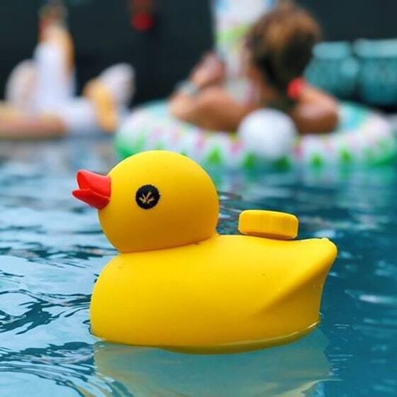 PieceMaker - Kwack (Бонг-уточка)