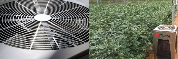 Master Trimmers Standard - триммеры для медицинского каннабиса (модели MT 50 и MT 75) Master Trimmers Standard - триммеры для медицинского каннабиса (модели MT 50 и MT 75)