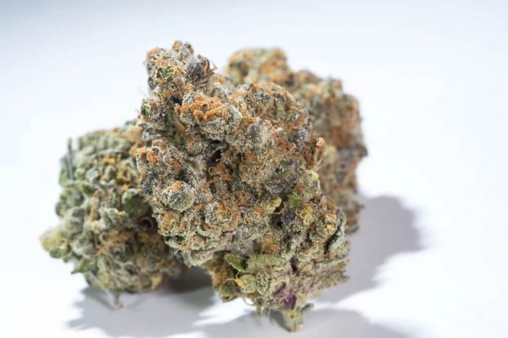 Paradise Seeds - Glowstarz (fem.)