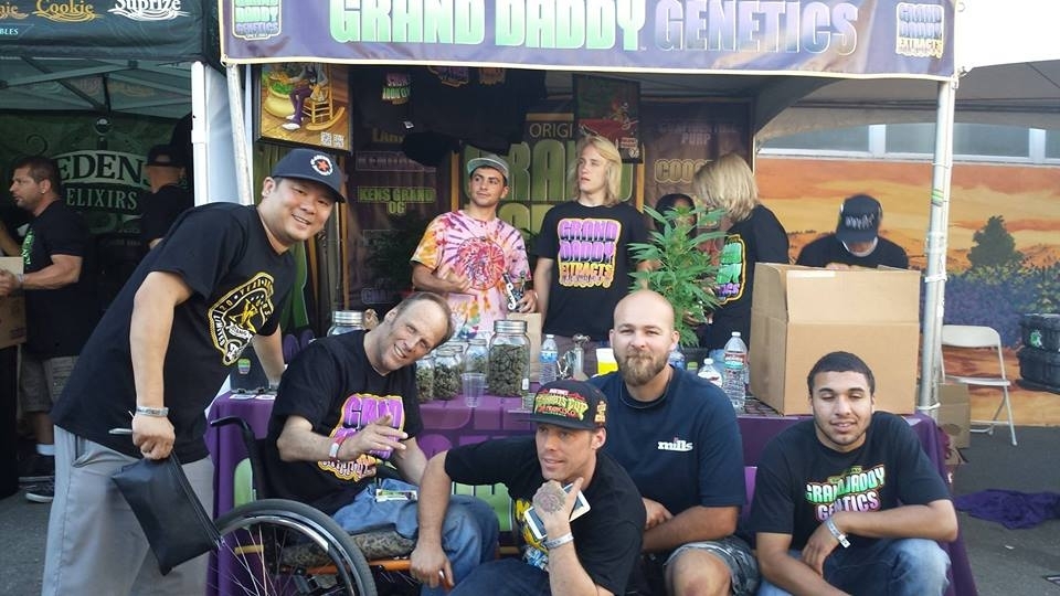 Grand Daddy Genetics - Grand Daddy Purple Original (reg.)