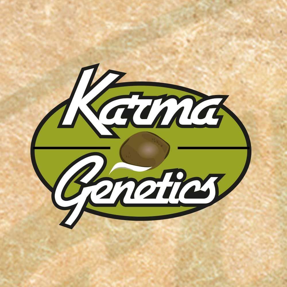 Karma Genetics - Sour Leda (reg.)