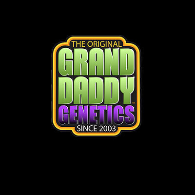 Grand Daddy Genetics - Black Cherry OG (fem.) 08630