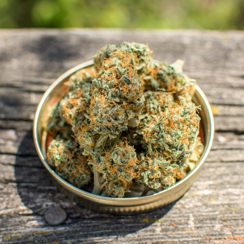 Dutch Passion - Banana Blaze (fem.)