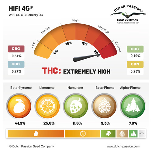 Dutch Passion - HiFi 4G (fem.)
