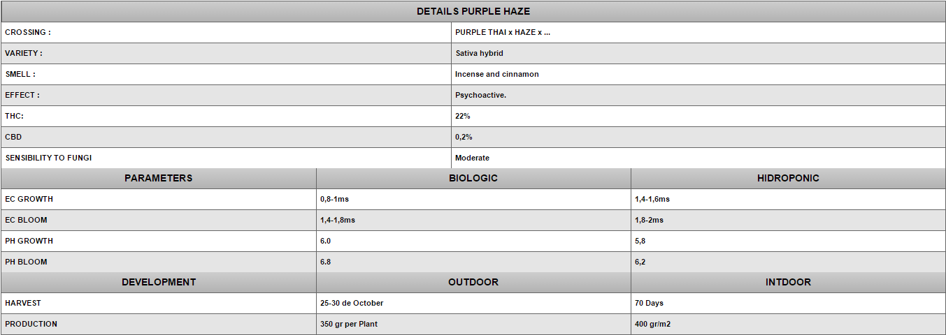 Positronics - Purple Haze (fem.)