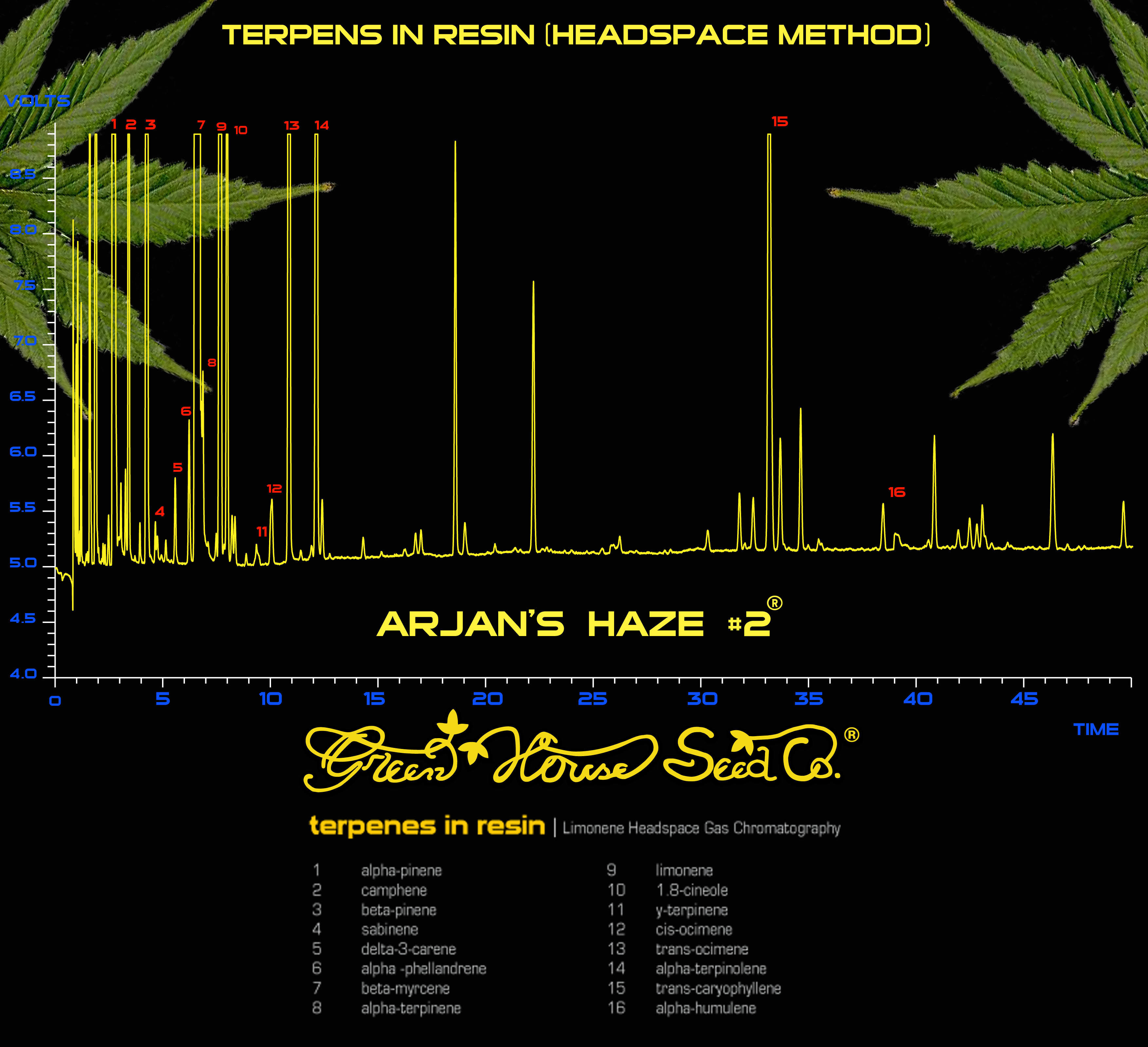 Green House Seeds - Arjan's Haze #2 (fem.)