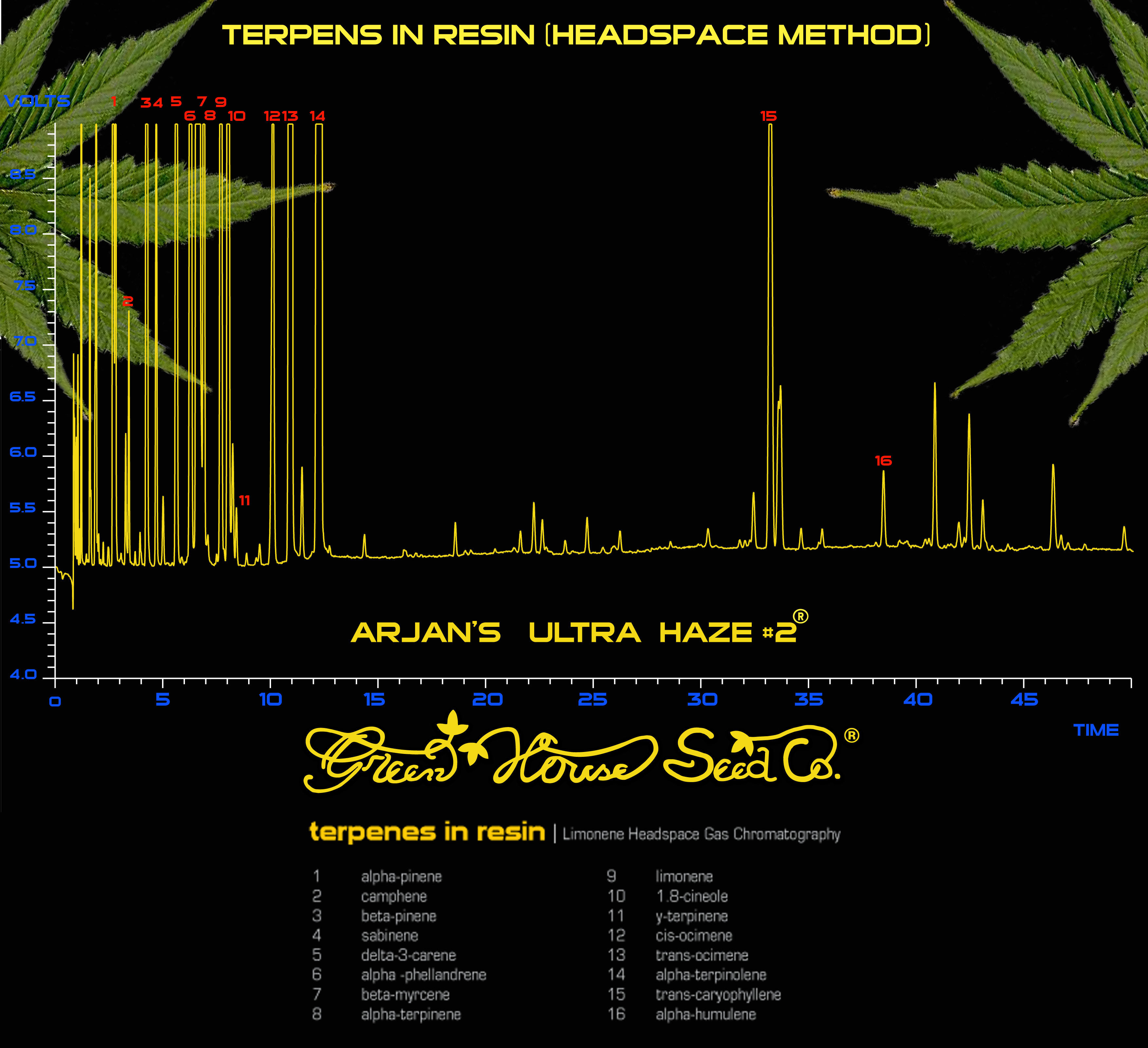 Green House Seeds - Arjan's Ultra Haze #2 (fem.)