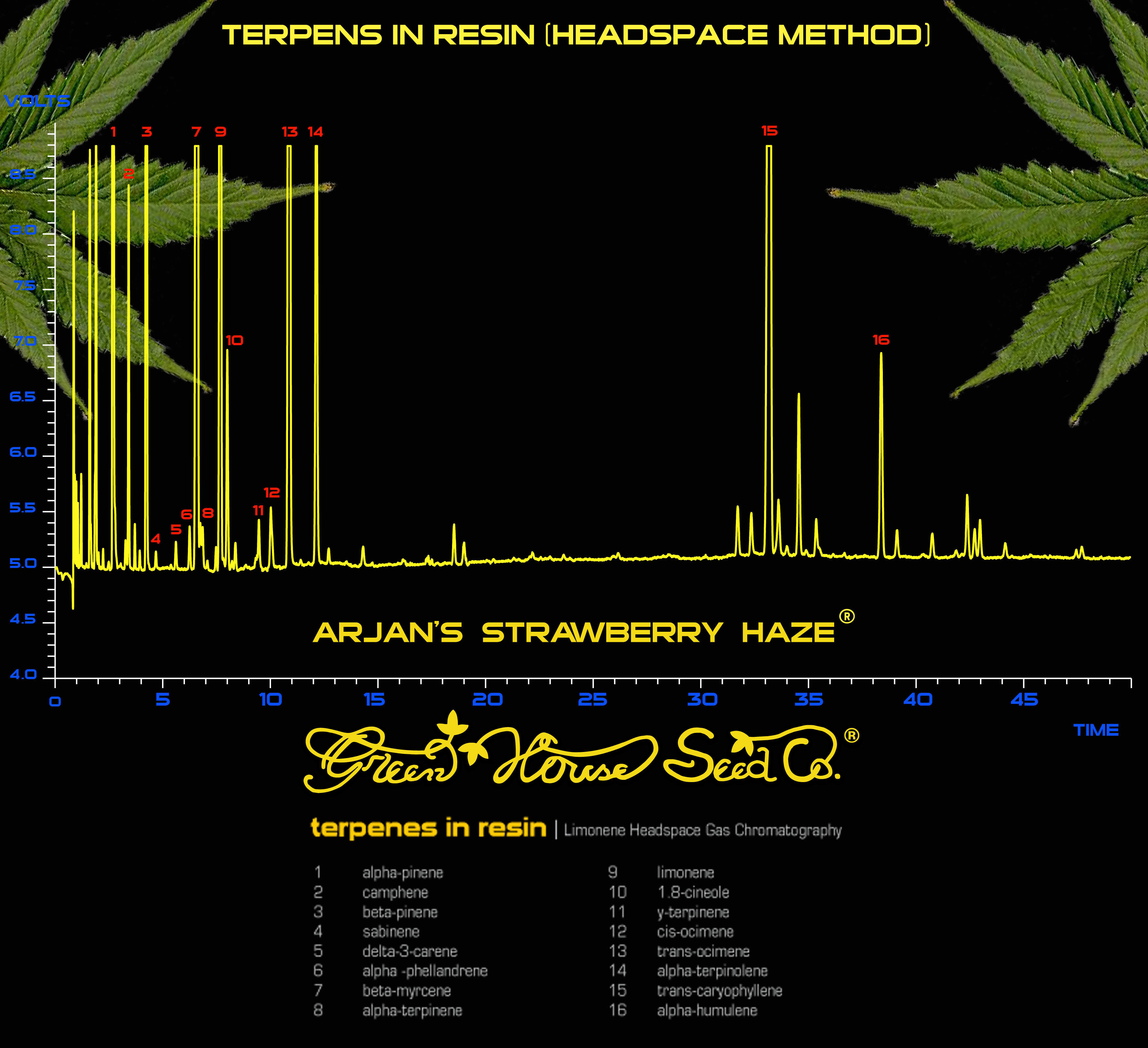 Green House Seeds - Arjan's Strawberry Haze (fem.)