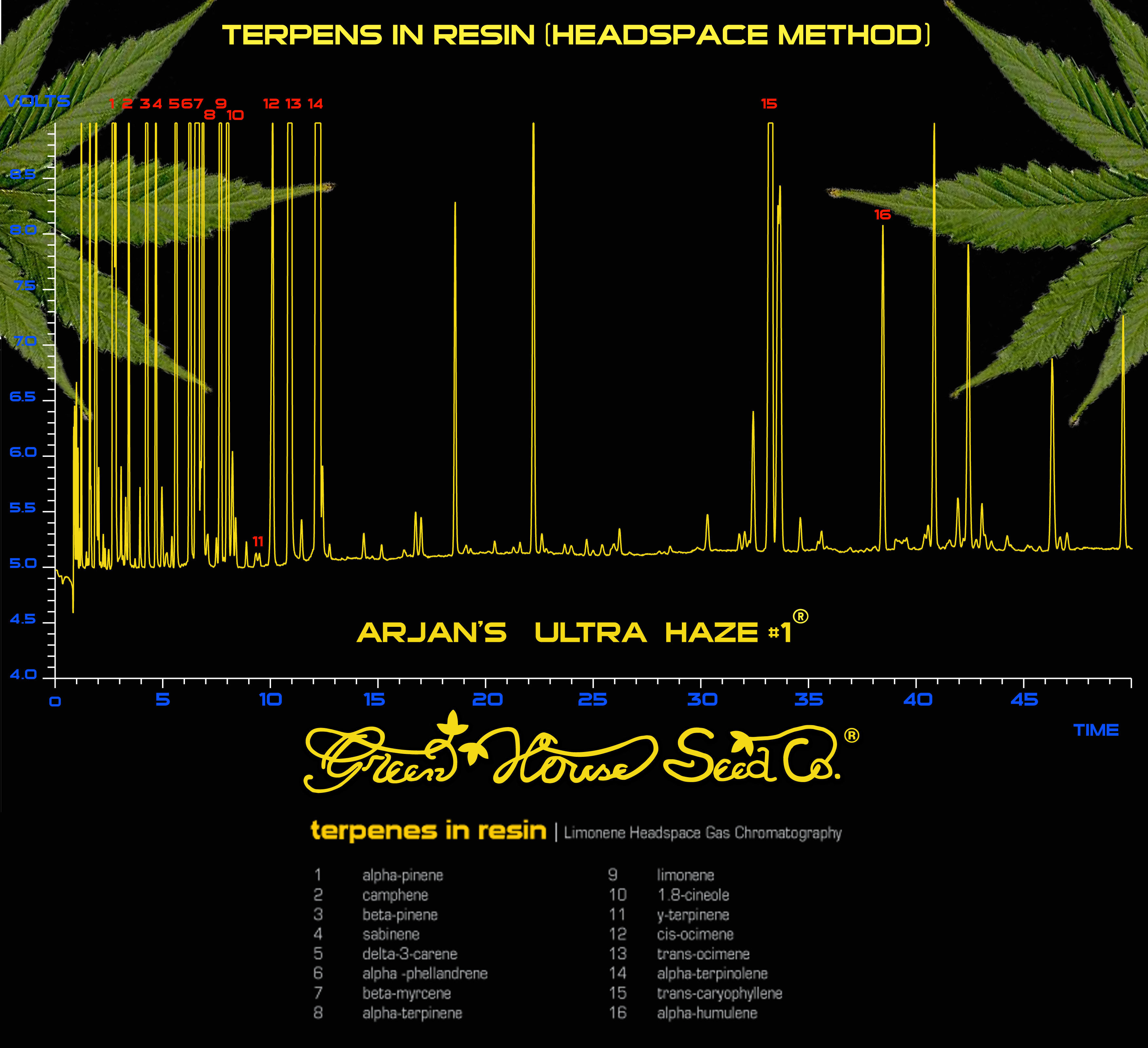 Green House Seeds - Arjan's Ultra Haze #1 (fem.)