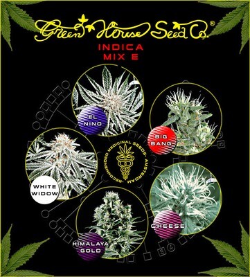 Green House Seeds - Indica Mix E (fem.) 04825