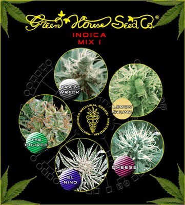 Green House Seeds - Indica Mix I (fem.) 04828