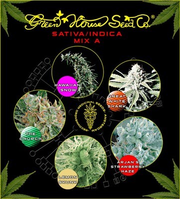 Green House Seeds - Sativa/Indica mix A (fem.) 04831