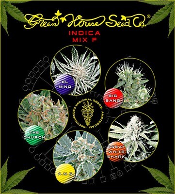 Green House Seeds - Sativa/Indica mix F 04836