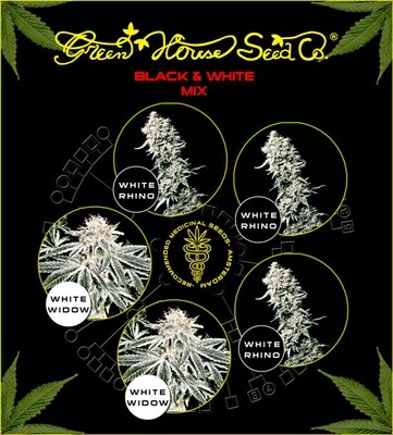 Green House Seeds - Black & White Mix (fem.) 04830