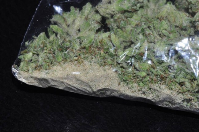 Ace Seeds - Malawi (fem.)