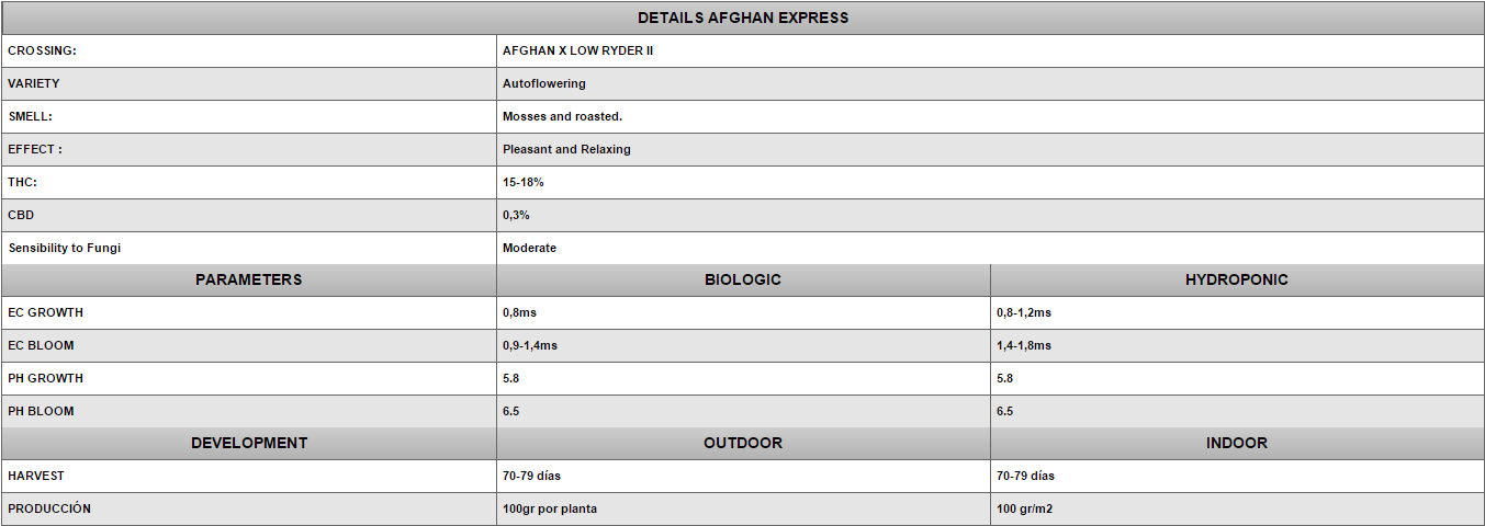 Positronics - Afghan Express (auto/fem.)