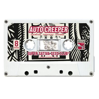 Super Sativa Seed Club - Auto Creeper (auto/fem.) 06871