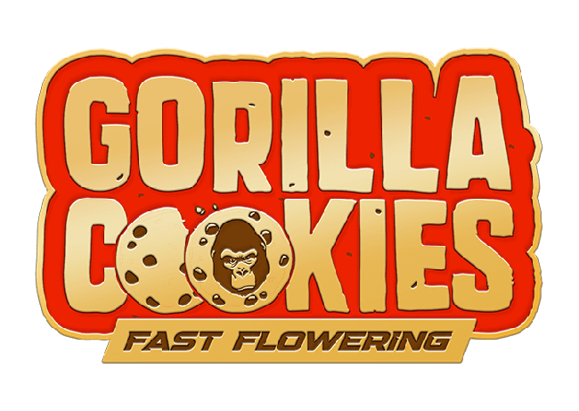 FastBuds - Gorilla Cookies Fast Flowering (fem.)