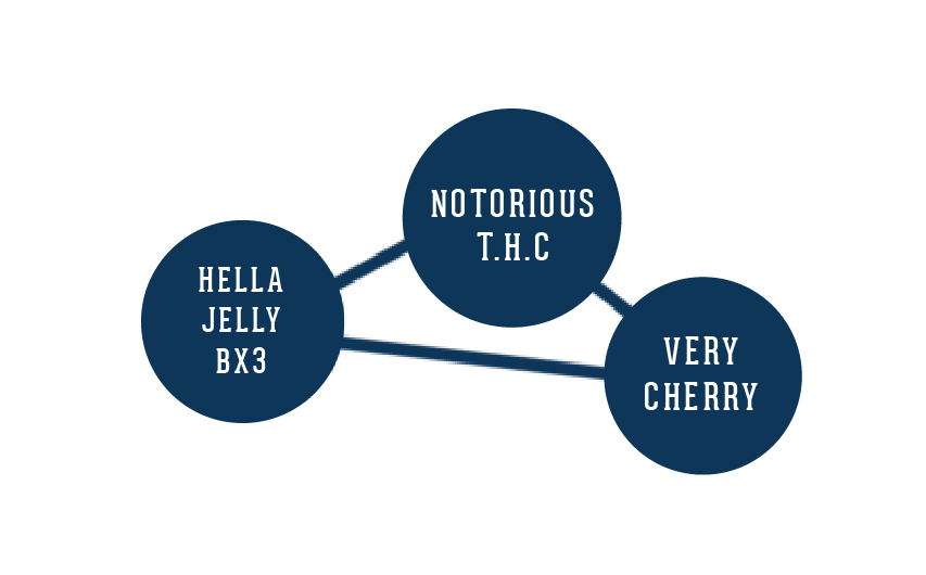 Humboldt Seed Company - Hella Jelly (fem.) 🇺🇸