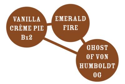 Humboldt Seed Company - Vanilla Creme Pie (fem.) 🇺🇸