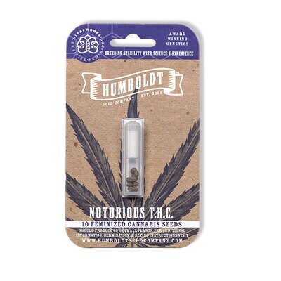 Humboldt Seed Company - Notorious THC (fem.) 🇺🇸 08919