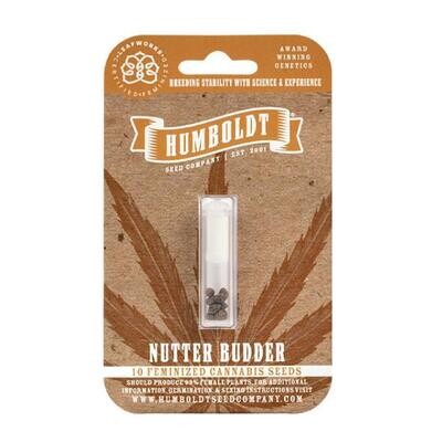 Humboldt Seed Company - Nutter Budder (fem.) 🇺🇸 08920