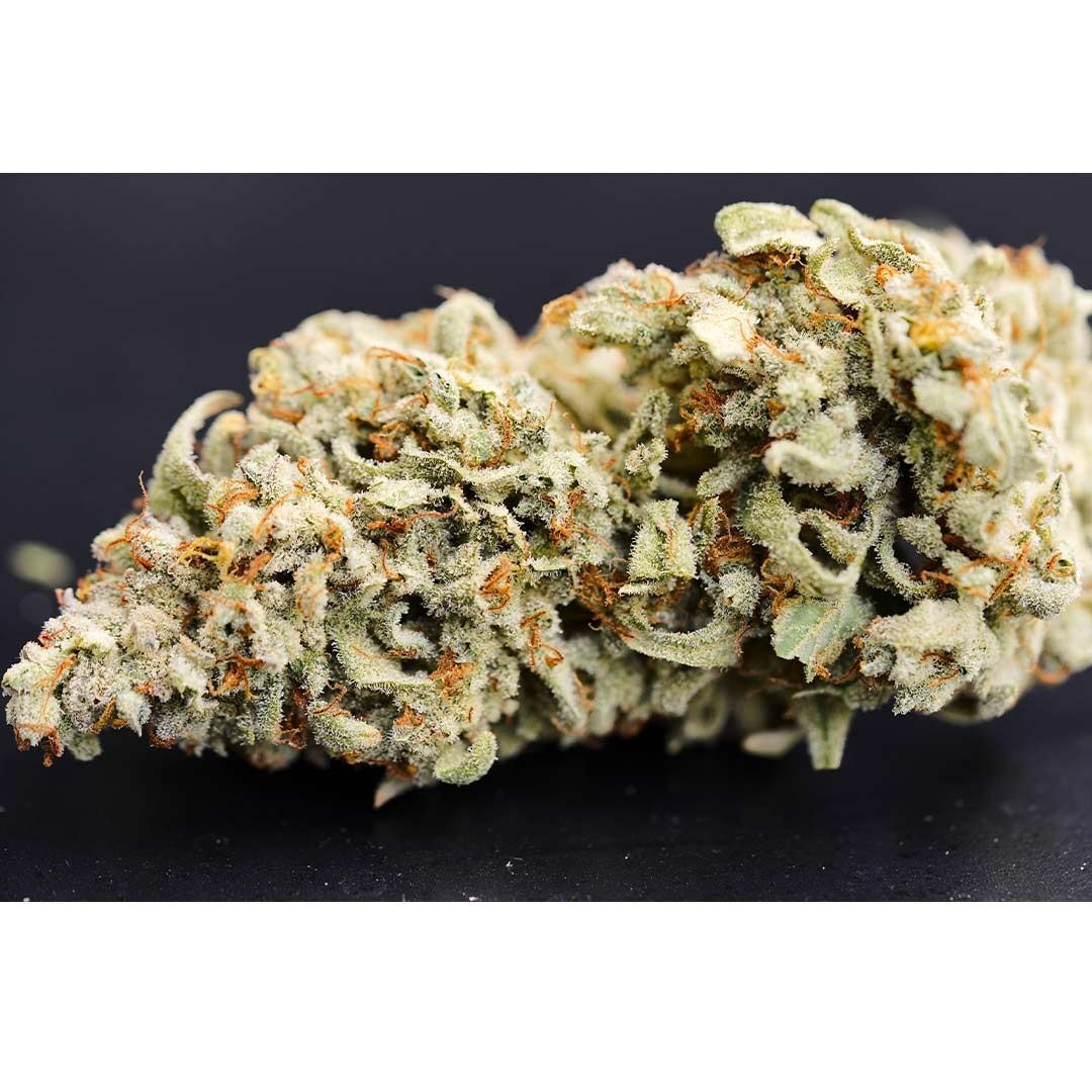 Night Owl Seeds - Dessert Isle Auto (auto/fem.)
